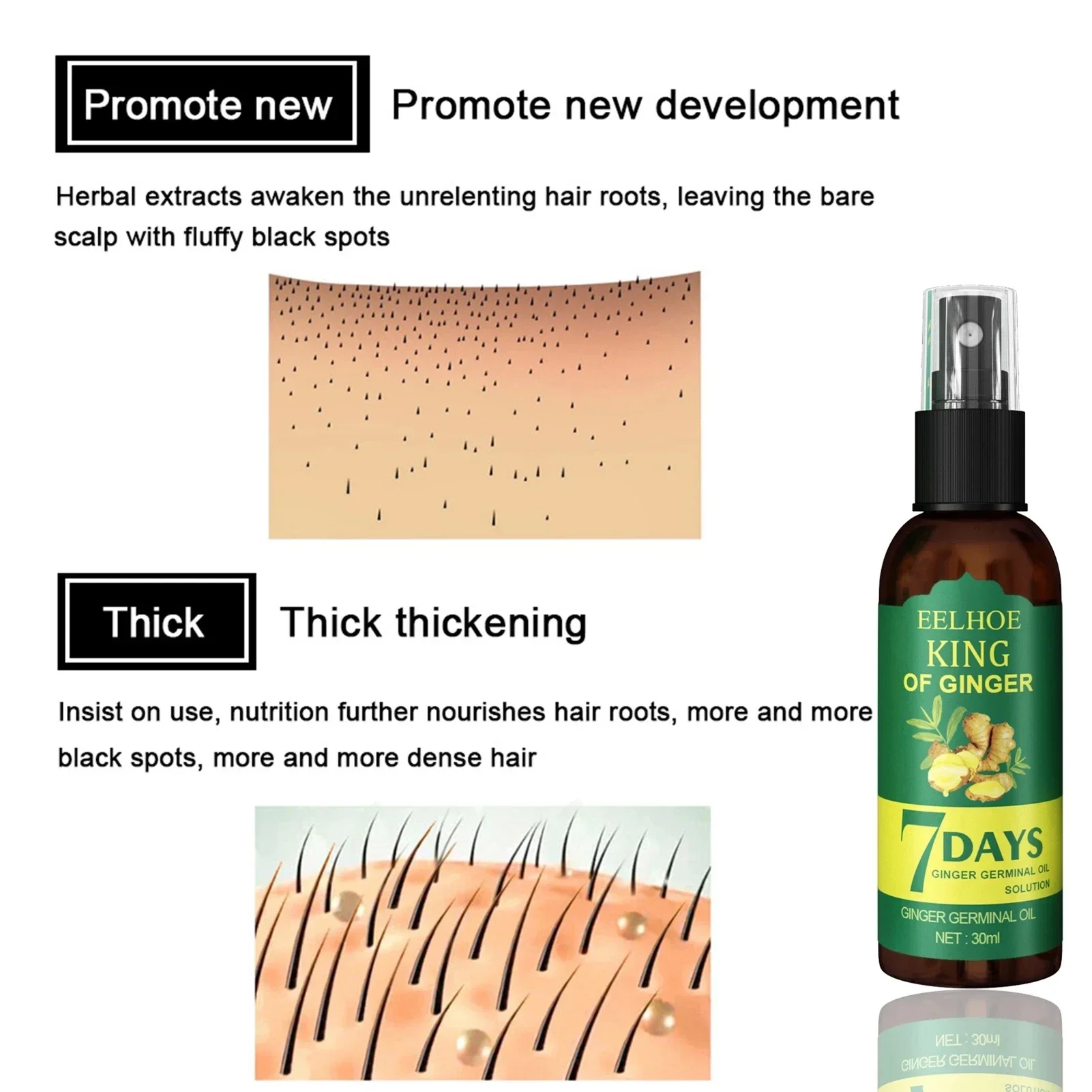 Serum penumbuh rambut jahe, se - Epidermal Growth Factor ulasan dan harga